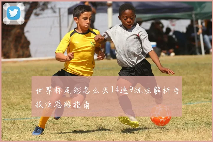 世界杯足彩怎么买14选9玩法解析与投注思路指南