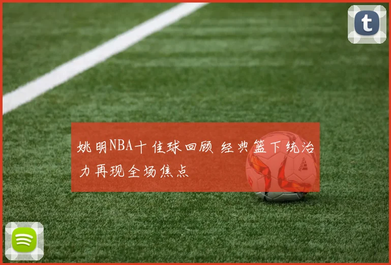 姚明NBA十佳球回顾 经典篮下统治力再现全场焦点